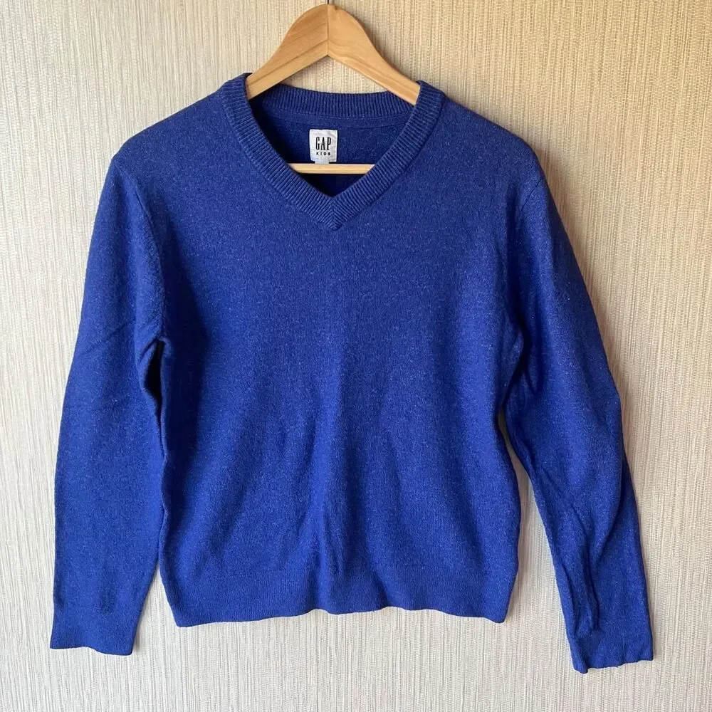 Gap Blue and Purple Jumper